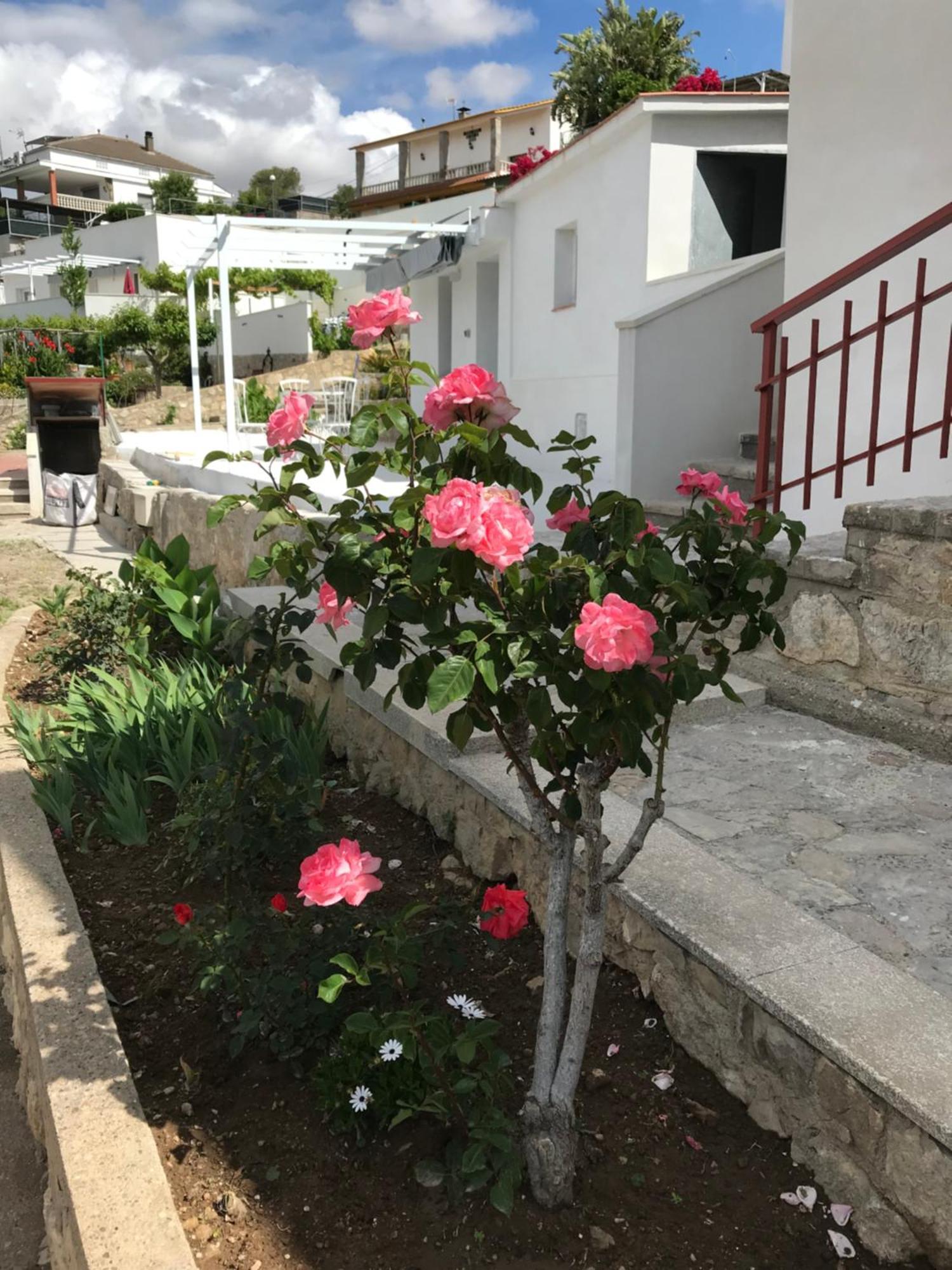 Вилла Campagne Luxueuse De Sitges Оливелья Экстерьер фото